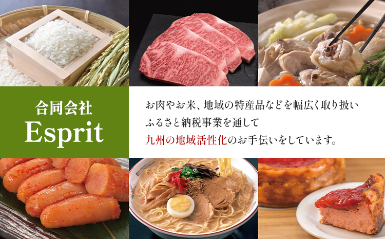 【ふるさと納税】 【A4～A5】くまもと黒毛和牛 切り落とし 1kg 《30日以内に出荷予定(土日祝除く)》 牛肉 くまもと黒毛和牛 黒毛和牛 冷凍庫 切り落とし