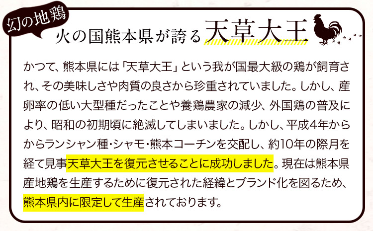【幻の地鶏】天草大王大手羽セット ４本入り 約650g以上 大海水産株式会社《45日以内に出荷予定(土日祝除く)》熊本県 長洲町 地鶏 チキン 鶏肉 手羽先 手羽元 大手羽 照り焼き 冷凍 送料無料---sn_fadotb_45d_r8_12000_650g---