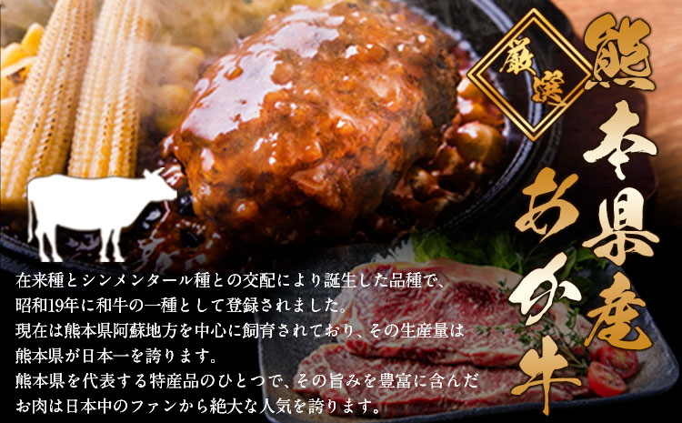 熊本県産あか牛100%生ハンバーグ 140g×13個入り 合計1820g 1.82kg以上《30日以内に出荷予定(土日祝除く)》熊本県産あか牛 バイキングベーカリー 冷凍