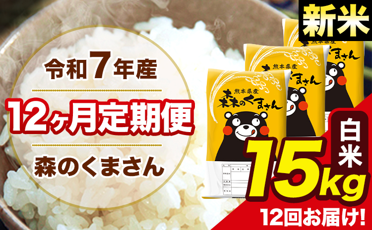 新米 米 令和7年産 森のくまさん【12ヶ月定期便】 白米 15kg 5kg×3袋 計12回お届け 《お申込み翌月から出荷》 お米 こめ 熊本県産 ご飯 備蓄