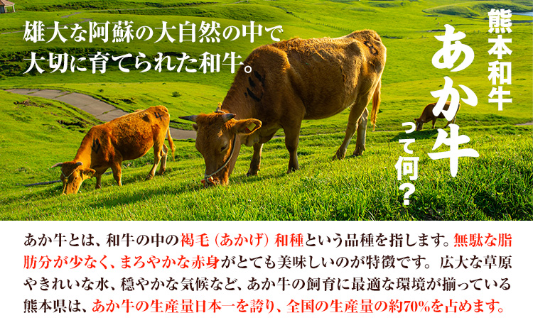 熊本和牛 ロースステーキ 400g 200g×2枚 あか牛のたれ付き 熊本県産 あか牛 赤牛 あかうし 三協畜産《60日以内に出荷予定(土日祝除く)》