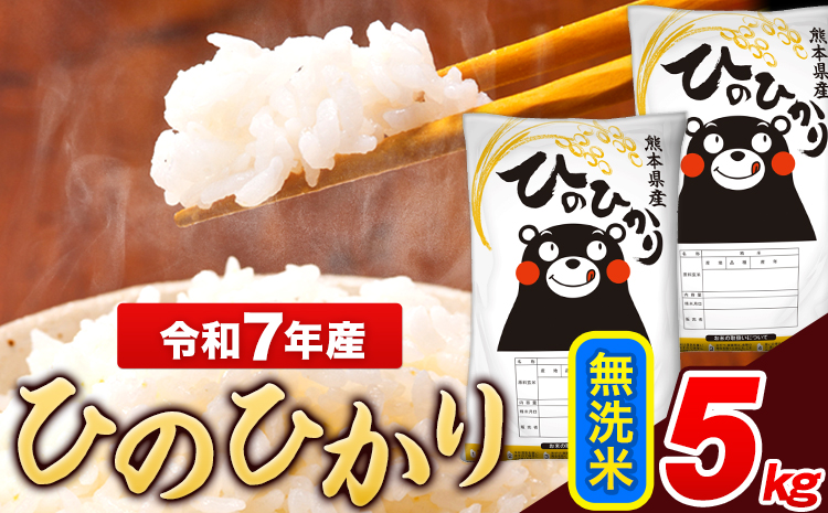 米 令和7年産 ひのひかり 無洗米 5kg 《7-14日以内に出荷予定(土日祝除く)》  5kg×1袋 熊本県産 米 精米 ひの 長洲町
