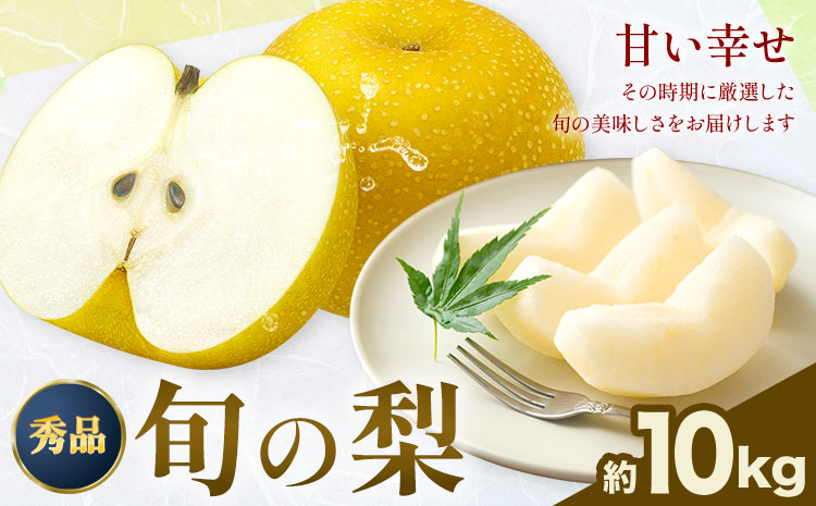 おまかせ梨 秀品 約10kg 日本フルーツ《8月上旬-10月上旬頃出荷》熊本県 長洲町 なし 梨 果物 フルーツ デザート ギフト ご贈答