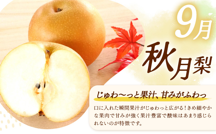 【3ヶ月定期便】梨 定期便 秀品 3ヶ月連続 梨の定期便 スペシャル 計15kg 日本フルーツ株式会社《8月上旬-10月末頃出荷》熊本県 長洲町 なし ナシ 豊水梨 秋月梨 新高梨 果物 フルーツ