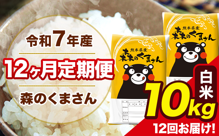 米 令和7年産 森のくまさん 【12ヶ月定期便】白米 10kg 5kg×2袋 計12回お届け 《お申込み翌月から出荷》 お米 こめ 熊本県産 ご飯 備蓄