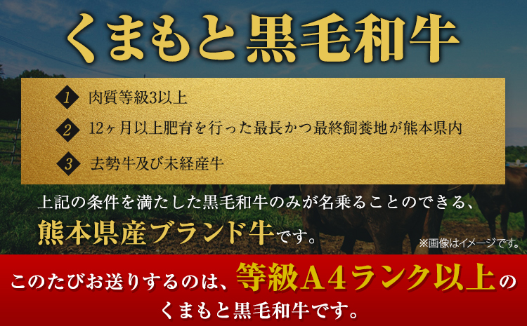 くまもと黒毛和牛 リブロースステーキ 500g ( 250g x 2枚 ) 牛肉 冷凍《30日以内に出荷予定(土日祝除く)》くまもと黒毛和牛 黒毛和牛 冷凍庫 個別 取分け 小分け 個包装 ステーキ肉 にも リブロースステーキ