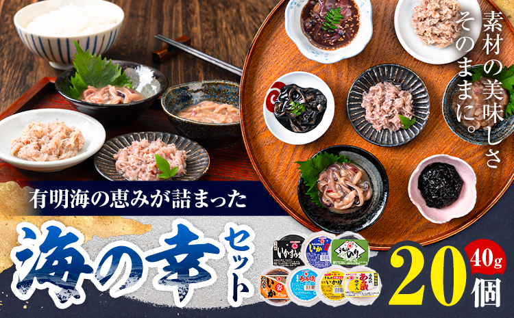 内野海産の海の幸セット 20個入り 《45日以内に出荷予定(土日祝除く)》あみ漬 いか 海苔 佃煮 塩辛 いかすみ