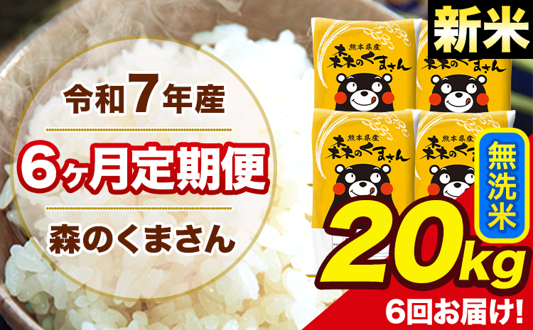 新米 米 令和7年産 森のくまさん【6ヶ月定期便】無洗米 20kg 5kg×4袋 計6回お届け 《お申込み翌月から出荷》 お米 こめ 熊本県産 ご飯 備蓄