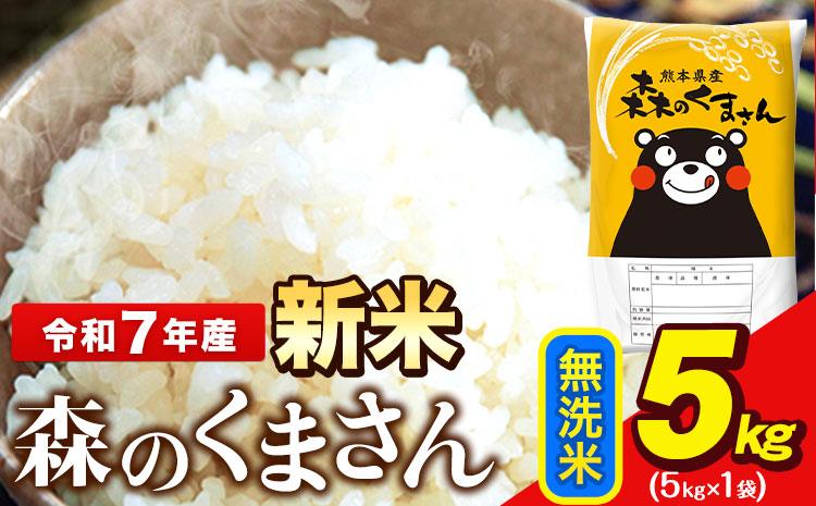 新米 米 令和7年産 無洗米 森のくまさん 5kg × 1袋 熊本県産 単一原料米 森くま[12月中旬-2月末頃出荷]送料無料