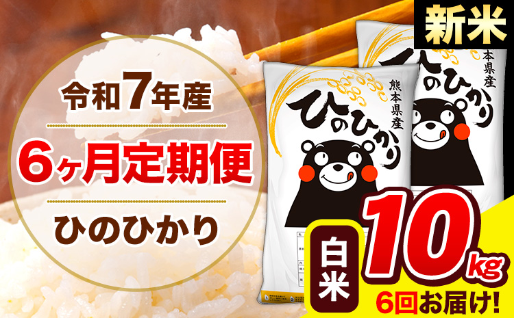 新米 米 令和7年産 ひのひかり 【6ヶ月定期便】 白米  10kg (5kg×2袋) 計6回お届け 《お申込み翌月から出荷》 熊本県産 白米 精米 ひの 米 こめ お米 熊本県 長洲町