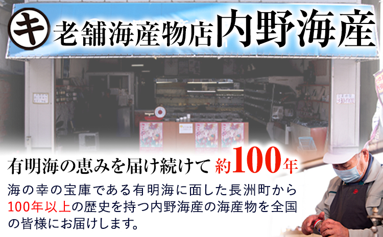 内野海産の海の幸セット 20個入り 《45日以内に出荷予定(土日祝除く)》あみ漬 いか 海苔 佃煮 塩辛 いかすみ