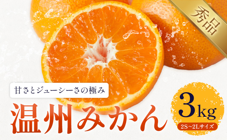 みかん 温州みかん 約3kg 日本フルーツ株式会社 熊本県 長洲町 《10月中旬-2月下旬頃出荷》 柑橘 果物 秀品 フルーツ スイーツ デザート ギフト ご贈答