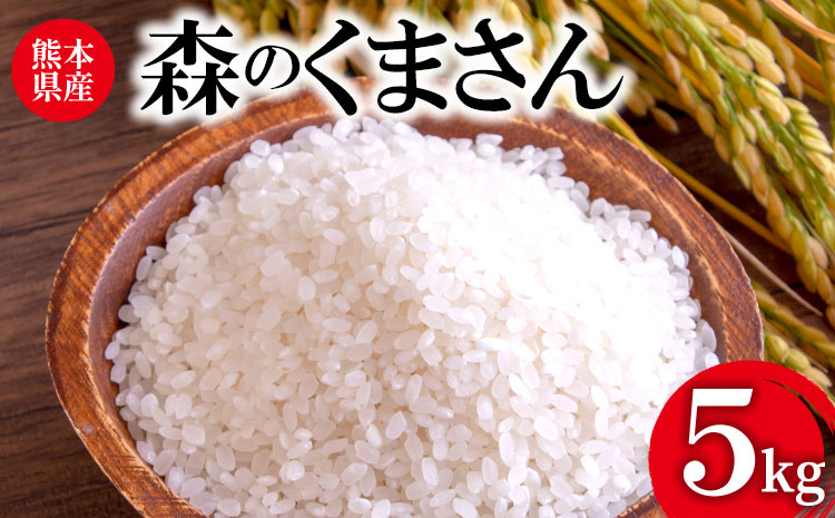 令和7年産 森のくまさん 5kg 株式会社羽根《60日以内に出荷予定(土日祝除く)》熊本県産 白米 精米 森くま もりくま 米