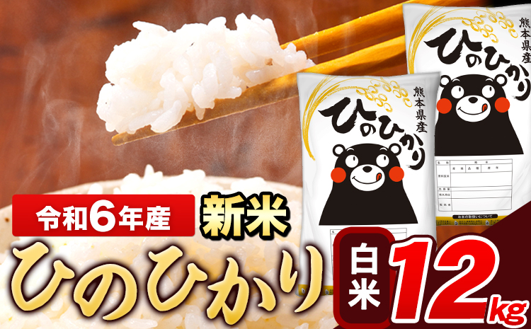 米 令和6年産 新米 ひのひかり 白米 12kg 《11月-12月より出荷予定》 6kg×2袋 熊本県産 米 精米 ひの 長洲町