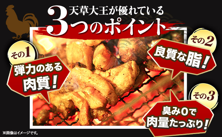 【幻の地鶏】天草大王大手羽セット ４本入り 約650g以上 大海水産株式会社《45日以内に出荷予定(土日祝除く)》熊本県 長洲町 地鶏 チキン 鶏肉 手羽先 手羽元 大手羽 照り焼き 冷凍 送料無料---sn_fadotb_45d_r8_12000_650g---
