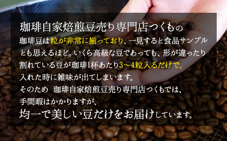 珈琲自家焙煎豆売り専門店つくもの自家焙煎珈琲豆「ツクモブレンド」100g×2《45日以内に出荷予定(土日祝除く)》