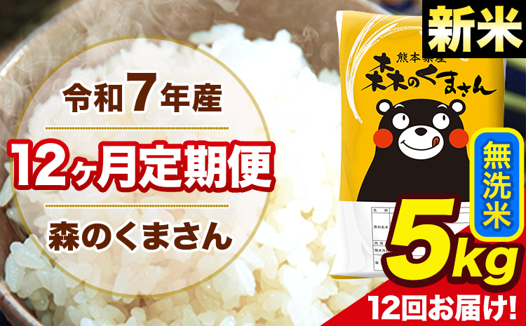 新米 米 令和7年産 森のくまさん【12ヶ月定期便】 無洗米 5kg 5kg×1袋 計12回お届け 《お申込み翌月から出荷》 お米 こめ 熊本県産 ご飯 備蓄
