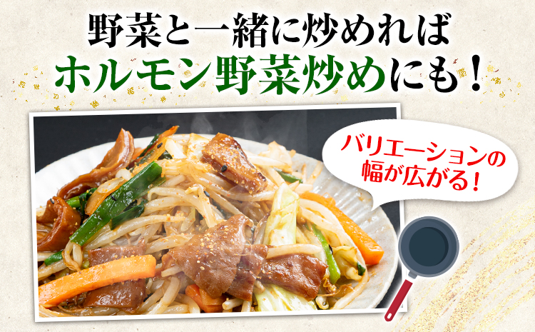 馬ホルモン焼 10個セット 10人前 (100g×10個) 株式会社千興ファーム《60日以内に出荷予定(土日祝除く)》 熊本県 長洲町 ホルモン ホルモン焼き 馬ホルモン 馬 馬肉 タレ たれ 個包装 おつまみ 送料無料 大人気 簡単調理