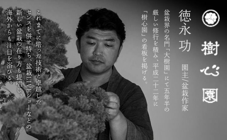 樹心園 五葉松 盆栽《30日以内に出荷予定(土日祝除く)》ごようまつ 盆栽作家 徳永功