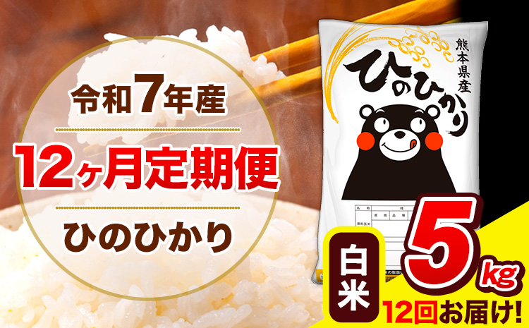 令和7年産 ひのひかり 【12ヶ月定期便】 白米  5kg (5kg×1袋) 計12回お届け 《お申込み翌月から出荷》 熊本県産 白米 精米 ひの 米 こめ お米 熊本県 長洲町
