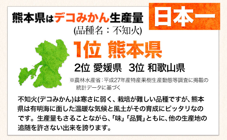 ご家庭用 デコみかん 約5kg 12〜24玉前後《2025年2月上旬-4月末頃出荷》デコポン（不知火）と同品種 熊本県産 熊本県 長洲町 訳あり