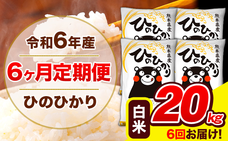 令和6年産 ひのひかり 【6ヶ月定期便】 白米  20kg (5kg×4袋) 計6回お届け 《お申し込み月の翌月から出荷開始》 熊本県産 白米 精米 ひの 米 こめ お米 熊本県 長洲町