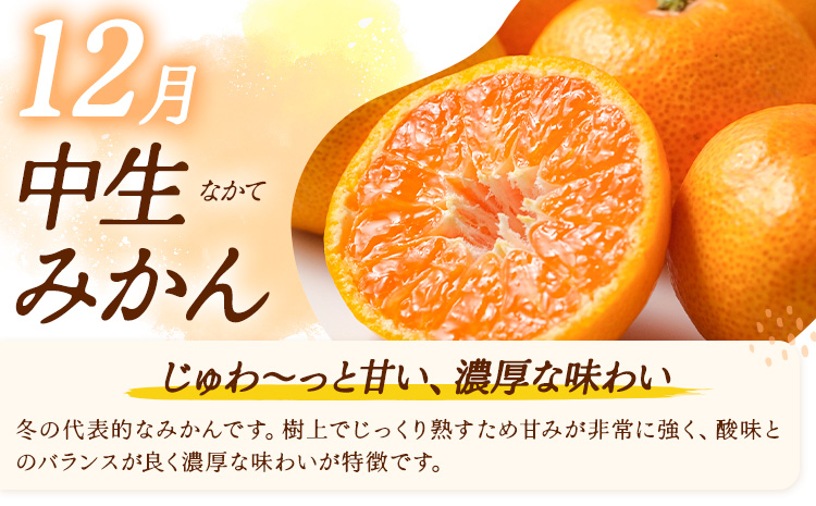 【3ヶ月定期便】みかん 定期便 秀品 温州みかん ミニ 計9kg 日本フルーツ株式会社《10月上旬-12月末頃出荷》熊本県 長洲町 ミカン 蜜柑 柑橘類 極早生 早生 中生 果物 フルーツ