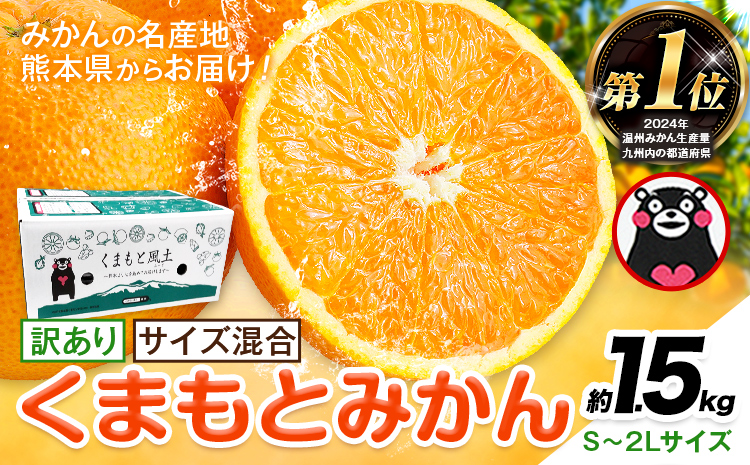 みかん 訳あり くまもとみかん 約1.5kg S-2Lサイズ サイズ混合 ご家庭用《7-14日以内に出荷予定(土日祝除く)》 訳あり みかん フルーツ サイズ混合 秋 旬 柑橘 熊本県 長洲町 熊本県産 長洲町産含む