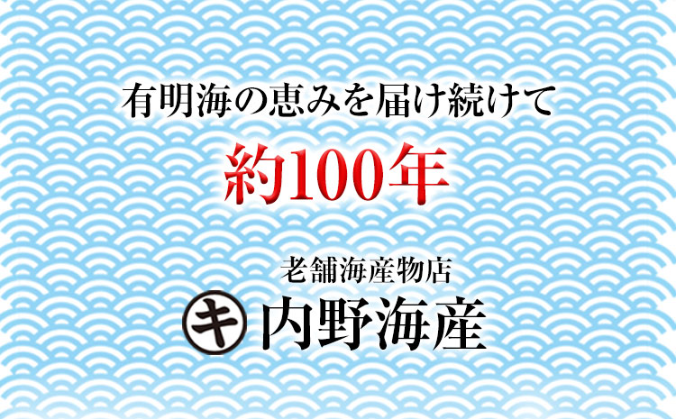 海苔 乾海苔 （100枚） のり ノリ 《45日以内に出荷予定(土日祝除く)》 有明海産 内野海産