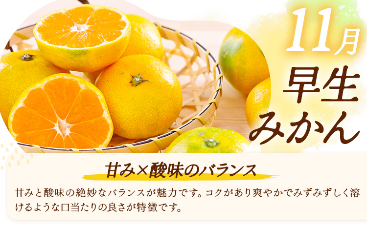 【3ヶ月定期便】みかん 定期便 秀品 温州みかん ミニ 計9kg 日本フルーツ株式会社《10月上旬-12月末頃出荷》熊本県 長洲町 ミカン 蜜柑 柑橘類 極早生 早生 中生 果物 フルーツ