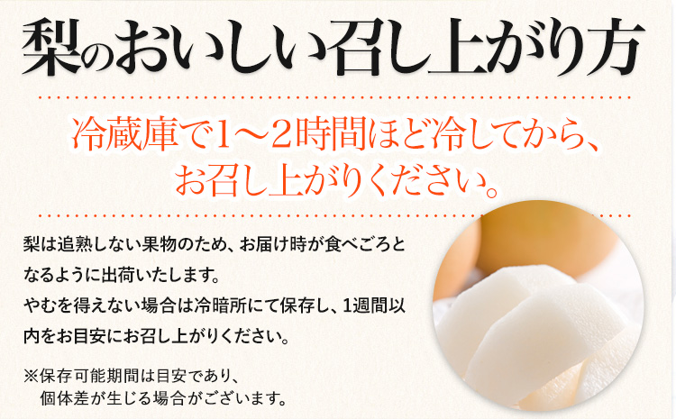 梨 完熟梨 ( あきづき 新高梨 新興梨 のいずれか) 約 5kg (8〜18玉) フルーツ 果物 旬 大渕観光梨園 熊本県長洲町産 《9月上旬-12月中旬頃出荷》フルーツ 梨 なし