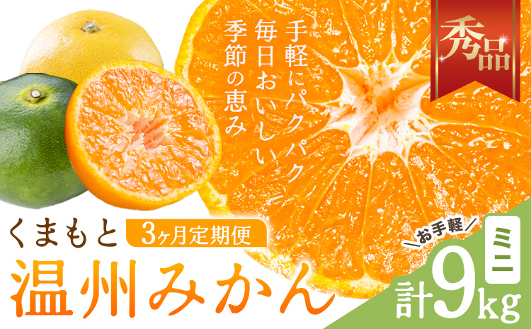 【3ヶ月定期便】みかん 定期便 秀品 温州みかん ミニ 計9kg 日本フルーツ株式会社《10月上旬-12月末頃出荷》熊本県 長洲町 ミカン 蜜柑 柑橘類 極早生 早生 中生 果物 フルーツ