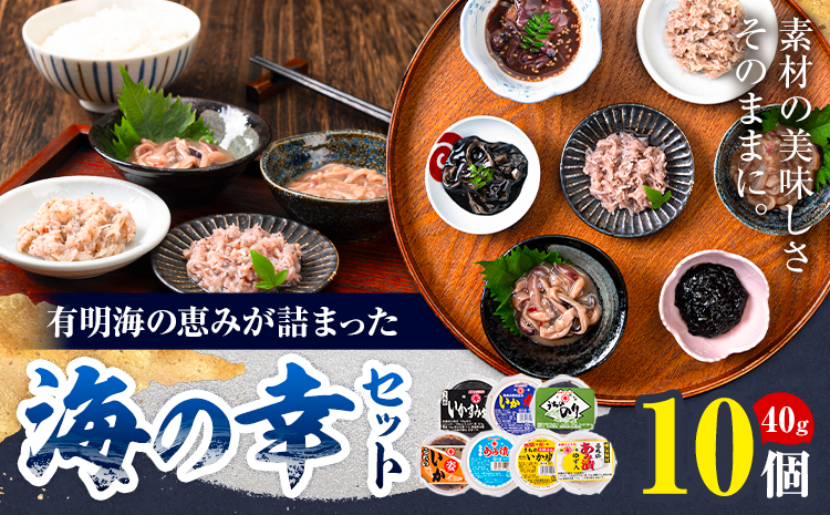 内野海産の海の幸セット 10個入り 《45日以内に出荷予定(土日祝除く)》あみ漬 いか 海苔 佃煮 塩辛 いかすみ