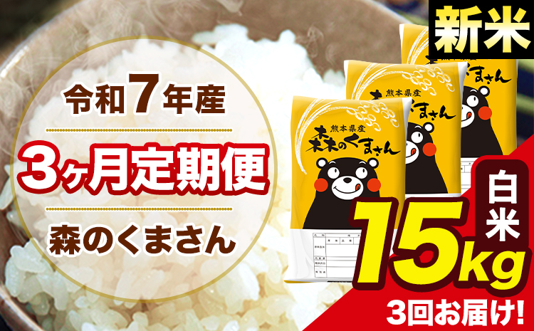 新米 米 令和7年産 森のくまさん【3ヶ月定期便】 白米 15kg 5kg×3袋 計3回お届け 《お申込み翌月から出荷》 お米 こめ 熊本県産 ご飯 備蓄