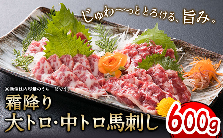 大トロ中トロ馬刺し盛り 600g 長洲501《30日以内に出荷予定(土日祝除く)》馬刺し 熊本 長洲町 大トロ 中トロ 食べ比べ 馬肉 霜降り