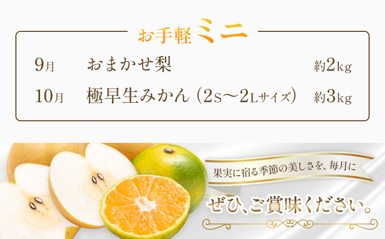 旬の フルーツ 定期便 2ヶ月連続 秀品 計5kg 日本フルーツ株式会社《2026年9月上旬-10月末頃出荷》熊本県 長洲町 おまかせ 梨 極早生みかん 果物 フルーツ スイーツ デザート ギフト ご贈答