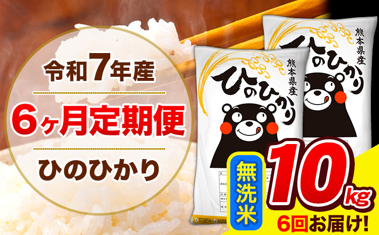 令和7年産 ひのひかり 【6ヶ月定期便】 無洗米  10kg (5kg×2袋) 計6回お届け 《お申込み翌月から出荷》 熊本県産 無洗米 精米 ひの 米 こめ お米 熊本県 長洲町