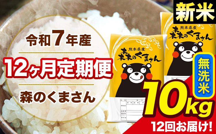 新米 米 令和7年産 森のくまさん【12ヶ月定期便】 無洗米 10kg 5kg×2袋 計12回お届け 《お申込み翌月から出荷》 お米 こめ 熊本県産 ご飯 備蓄