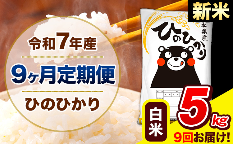 譁ー邀ウ 莉、蜥7蟷エ逕」 縺イ縺ョ縺イ縺九j 縲9繝カ譛亥ョ壽悄萓ソ縲 逋ス邀ウ 5kg (5kgテ1陲) 險9蝗槭♀螻翫¢ 縲翫♀逕ウ霎シ縺ソ鄙梧怦縺九i蜃コ闕キ縲 辭頑悽逵檎肇 邊セ邀ウ 縺イ縺ョ 邀ウ 縺薙a 縺顔アウ 辭頑悽逵 髟キ豢イ逕コ