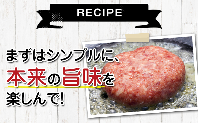 馬肉入り手作りハンバーグ(約150g×9個) 《45日以内に出荷予定(土日祝除く)》 馬肉ハンバーグ　肉の宮本