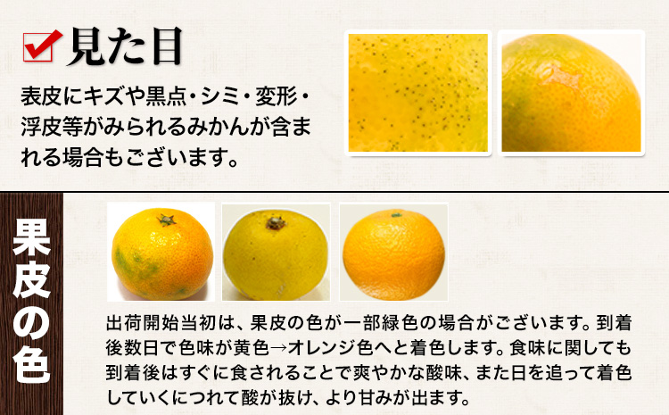 訳あり みかん 小玉みかん くまもと小玉みかん 2.5kg (2.5kg×1箱) 秋 旬 不揃い 傷 ご家庭用 SDGs 小玉 たっぷり 熊本県 産 S-3Sサイズ フルーツ 旬 柑橘 長洲町 温州みかん《11月中旬-12月上旬頃出荷》