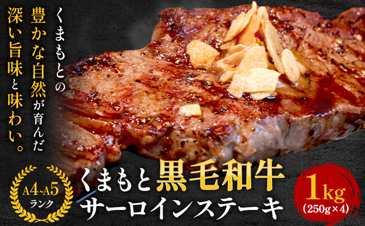 【A4〜A5】くまもと黒毛和牛 サーロインステーキ 1kg《30日以内に出荷予定(土日祝除く)》 牛肉 くまもと黒毛和牛 黒毛和牛 冷凍庫 サーロイン ステーキst-p