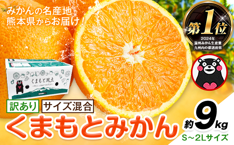 みかん 訳あり くまもとみかん 約9kg S-2Lサイズ サイズ混合 ご家庭用《7-14日以内に出荷予定(土日祝除く)》 訳あり みかん フルーツ サイズ混合 秋 旬 柑橘 熊本県 長洲町 熊本県産 長洲町産含む