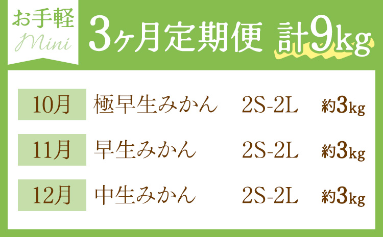 【3ヶ月定期便】みかん 定期便 秀品 温州みかん ミニ 計9kg 日本フルーツ株式会社《10月上旬-12月末頃出荷》熊本県 長洲町 ミカン 蜜柑 柑橘類 極早生 早生 中生 果物 フルーツ