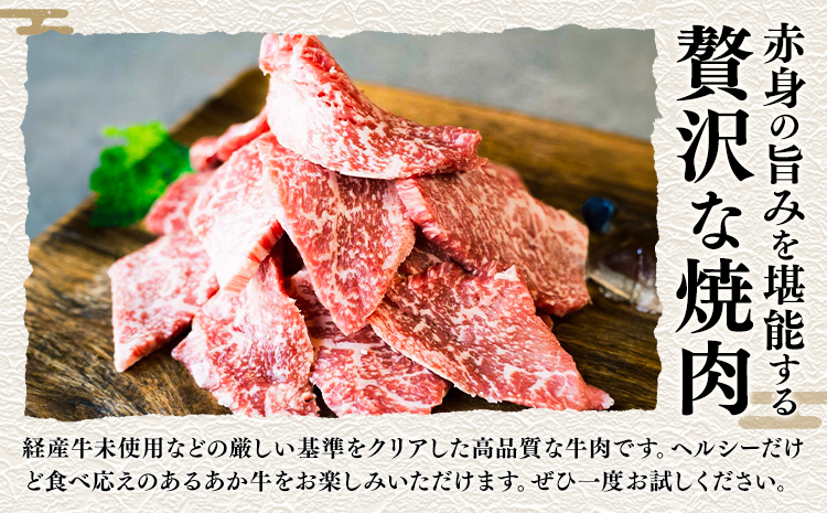 熊本県産 GI認証取得 くまもとあか牛 焼き肉用 切り落とし 600g 300g×2パック くまふる《45日以内に出荷予定(土日祝除く)》熊本県 長洲町 肉 牛肉 あか牛 赤牛 焼肉 切り落とし 熊本県産 国産