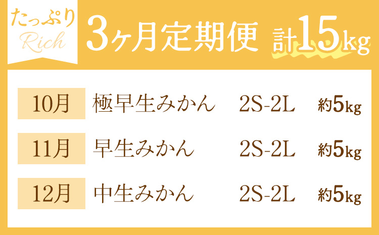 【3ヶ月定期便】みかん 定期便 秀品 温州みかん リッチ 計15kg 日本フルーツ株式会社《10月上旬-12月末頃出荷》熊本県 長洲町 ミカン 蜜柑 柑橘類 極早生 早生 中生 果物 フルーツ