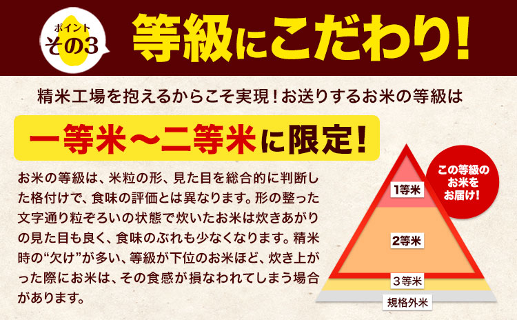 令和7年産 ひのひかり 【隔月6回定期便】 【2ヶ月に1回届く】白米 20kg (5kg×4袋) 計6回お届け 《お申込み翌月から出荷》 熊本県産 精米 ひの 米 こめ お米 熊本県 長洲町