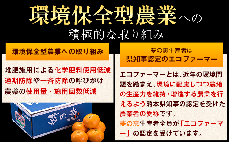 夢の恵 みかん 約2.5kg(20玉〜30玉前後) 熊本県産 （長洲町産含む） 糖度12度以上 ブランドみかん ブランド 贈答用 贈り物《1月中旬-2月中旬頃より出荷予定》 熊本県 長洲町