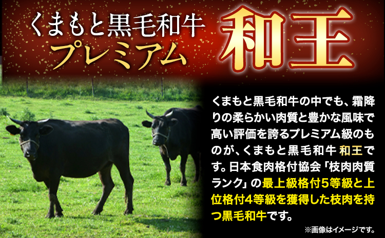 くまもと黒毛和牛 和王 バラ 霜降り 焼肉切り落とし 550g A5 A4 等級《60日以内に出荷予定(土日祝除く)》熊本県 長洲町 黒毛和牛 牛肉 冷凍 個別 取分け 小分け チャック付き バラ凍結 肉 お肉 焼き肉 焼き肉用