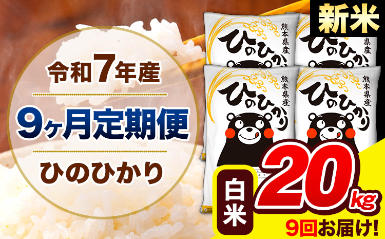 譁ー邀ウ 莉、蜥7蟷エ逕」 縺イ縺ョ縺イ縺九j 縲9繝カ譛亥ョ壽悄萓ソ縲 逋ス邀ウ 20kg (5kgテ4陲) 險9蝗槭♀螻翫¢ 縲翫♀逕ウ霎シ縺ソ鄙梧怦縺九i蜃コ闕キ縲 辭頑悽逵檎肇 邊セ邀ウ 縺イ縺ョ 邀ウ 縺薙a 縺顔アウ 辭頑悽逵 髟キ豢イ逕コ